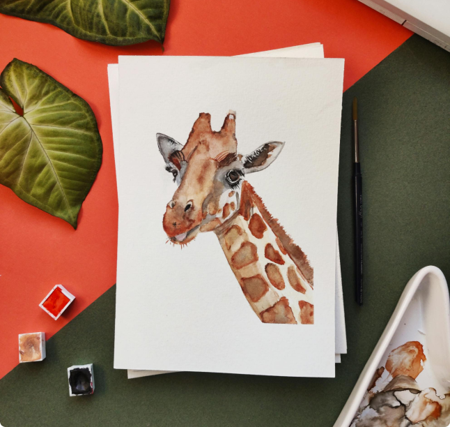 portfolio-3