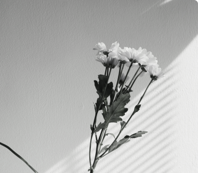portfolio-image