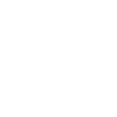 experience-icon